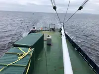 Reefer kuģis pārdod