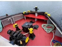Vilcējs pārdod