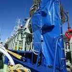 Purse seiner pārdošanā