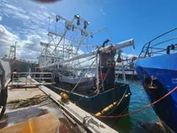 Trallers pārdod
