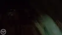 Trallers pārdod