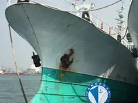 Garā līnija zvejas kuģis pārdod