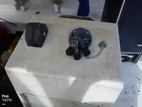 Trallers pārdod