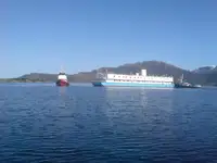 Liellaiva pārdošanā