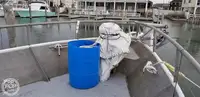 Trallers pārdod