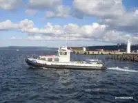 Velkonis pārdošanā