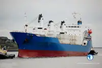 Reefer kuģis pārdod