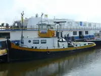 Velkonis pārdošanā