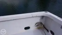 Niršanas atbalsta kuģis pārdod