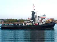 Velkonis pārdošanā