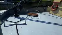 Trallers pārdod