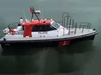 Pilotkuģis pārdod