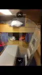 Staru trallera zvejas kuģis pārdod