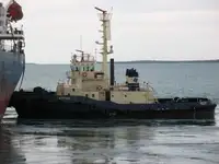Velkonis pārdošanā