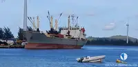 Reefer kuģis pārdod