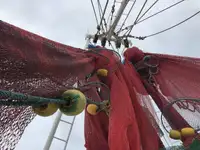 Trallers pārdod