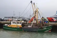 Trawler pārdošanā
