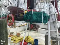 Trallers pārdod