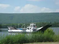 Liellaiva pārdošanā