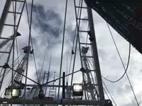 Trallers pārdod