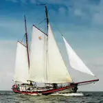 Liellaiva pārdošanā