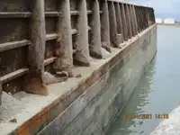 Bārža pārdod
