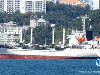 Reefer kuģis pārdod