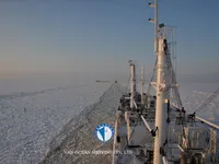 Reefer kuģis pārdod