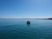 Katamarāns pārdod