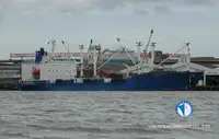 Reefer kuģis pārdod