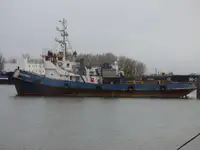 Velkonis pārdošanā