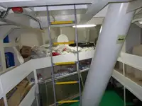 Beramkravu pārvadātājs pārdod