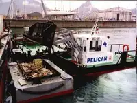 Liellaiva pārdošanā