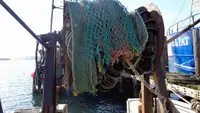 Trallers pārdod