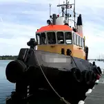 Velkonis pārdošanā