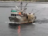 Longliner pārdošanā
