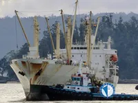 Reefer kuģis pārdod