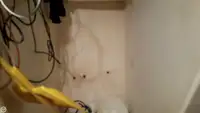Trallers pārdod