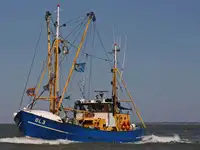 Trallers pārdod