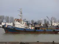 Velkonis pārdošanā
