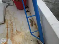 Trallers pārdod