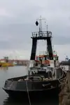 Vilcējs pārdod