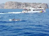 Pasažieru kuģis pārdod