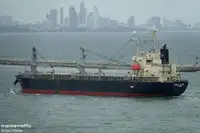 Beramkravu pārvadātājs pārdod