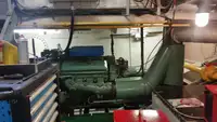 Vilcējs pārdod