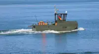 Vilcējs pārdod