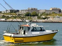 Pilotkuģis pārdod