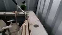 Trallers pārdod