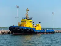 Velkonis pārdošanā