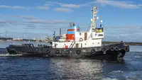Velkonis pārdošanā